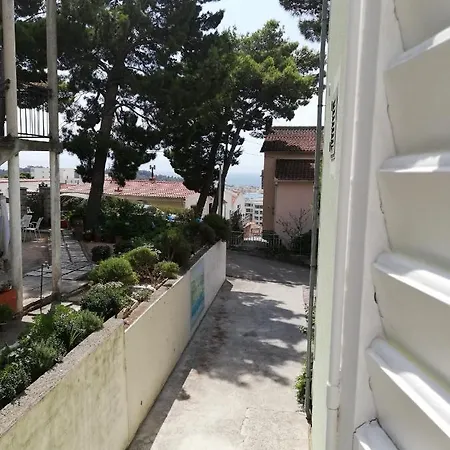 Green House Guest house *