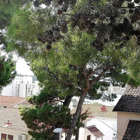 Green House